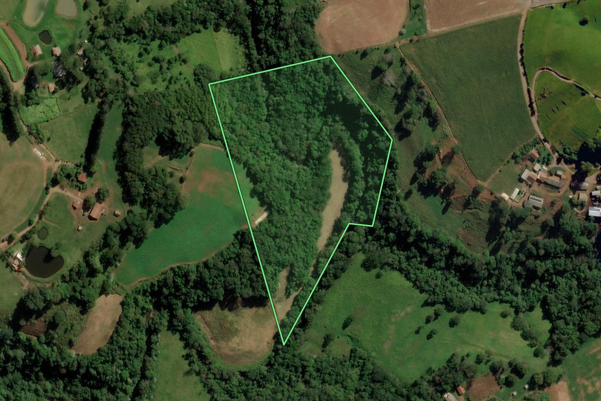 Imagem de satélite do imóvel rural em Romelândia (SC), com o contorno declarado no CAR desenhado por cima.