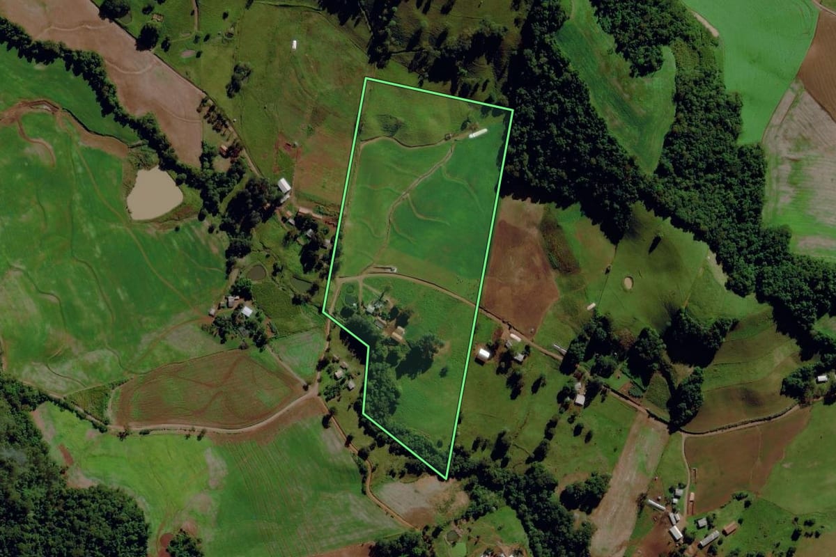 Imagem de satélite do imóvel rural em Romelândia (SC), com o contorno declarado no CAR desenhado por cima.