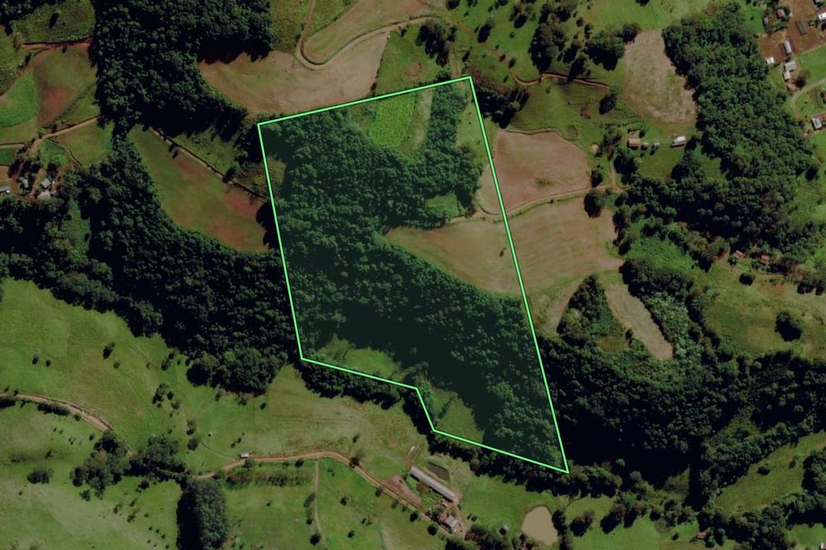 Imagem de satélite do imóvel rural em Romelândia (SC), com o contorno declarado no CAR desenhado por cima.