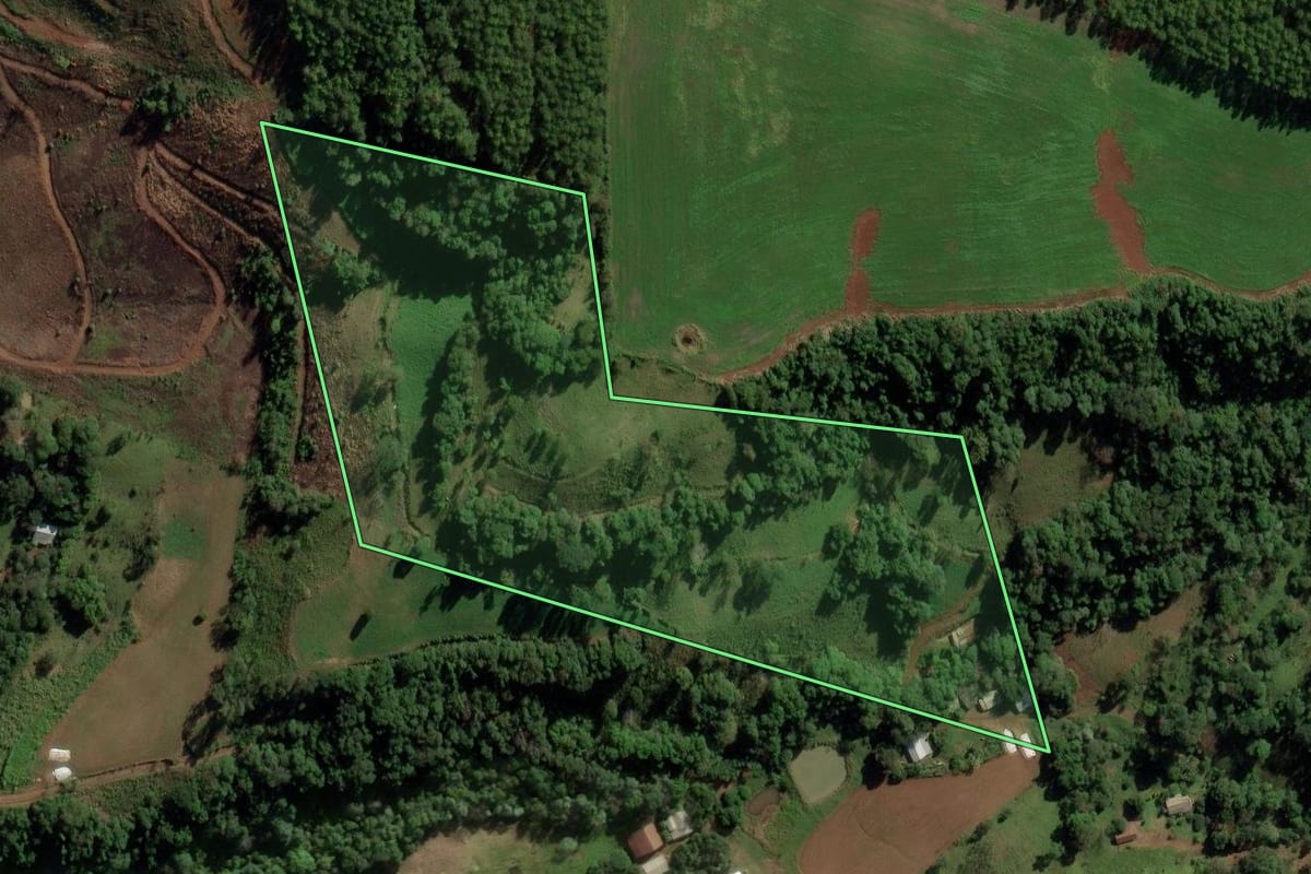Imagem de satélite do imóvel rural em Romelândia (SC), com o contorno declarado no CAR desenhado por cima.