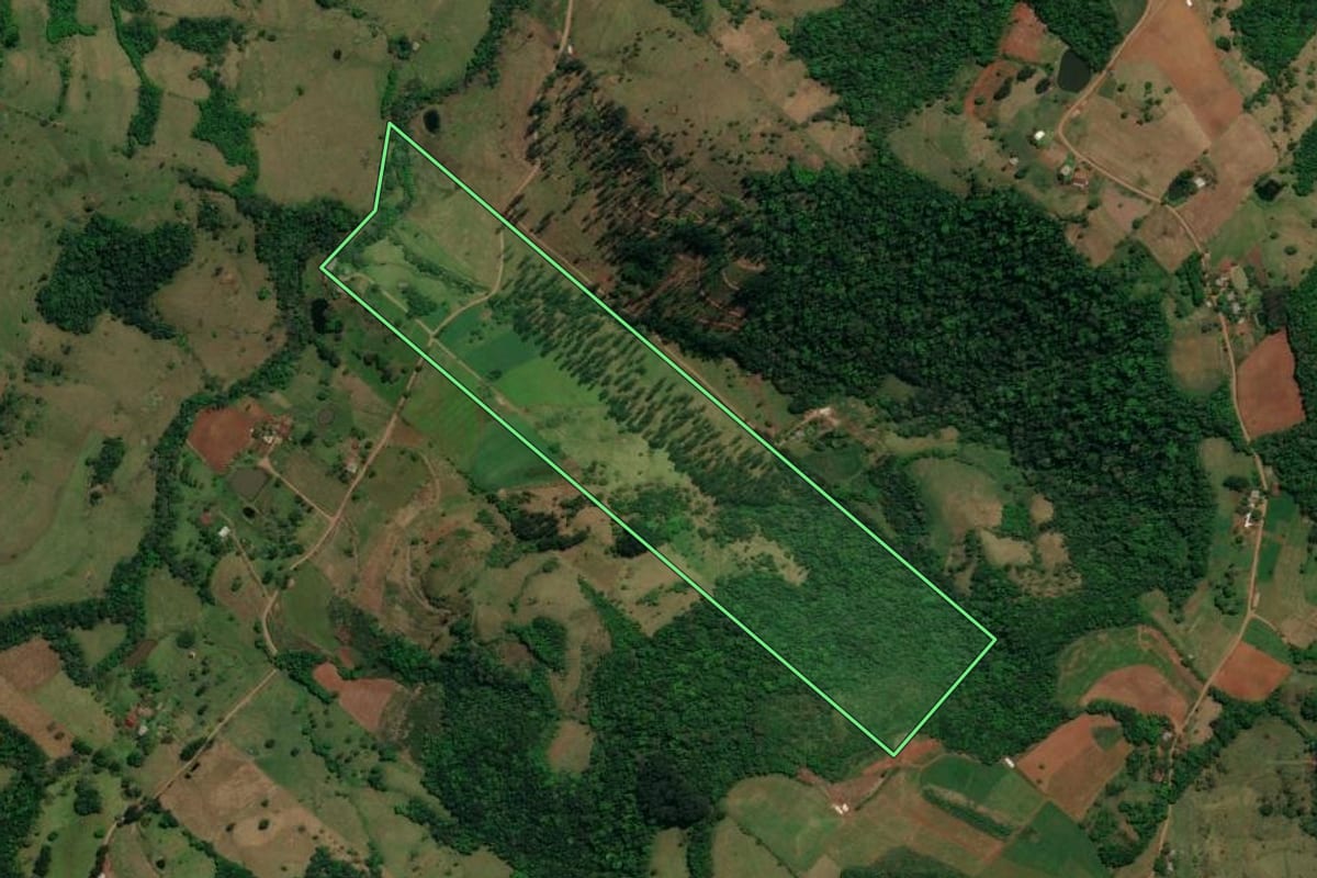 Imagem de satélite do imóvel rural em Romelândia (SC), com o contorno declarado no CAR desenhado por cima.