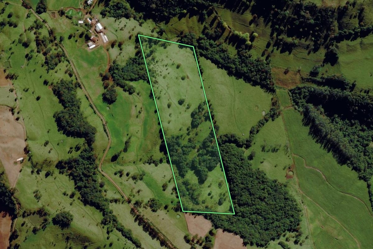 Imagem de satélite do imóvel rural em Romelândia (SC), com o contorno declarado no CAR desenhado por cima.