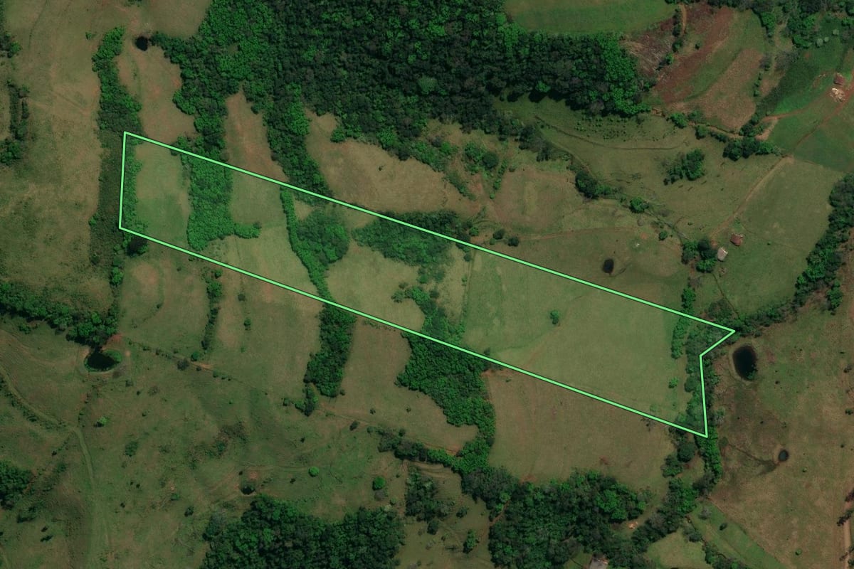 Imagem de satélite do imóvel rural em Romelândia (SC), com o contorno declarado no CAR desenhado por cima.