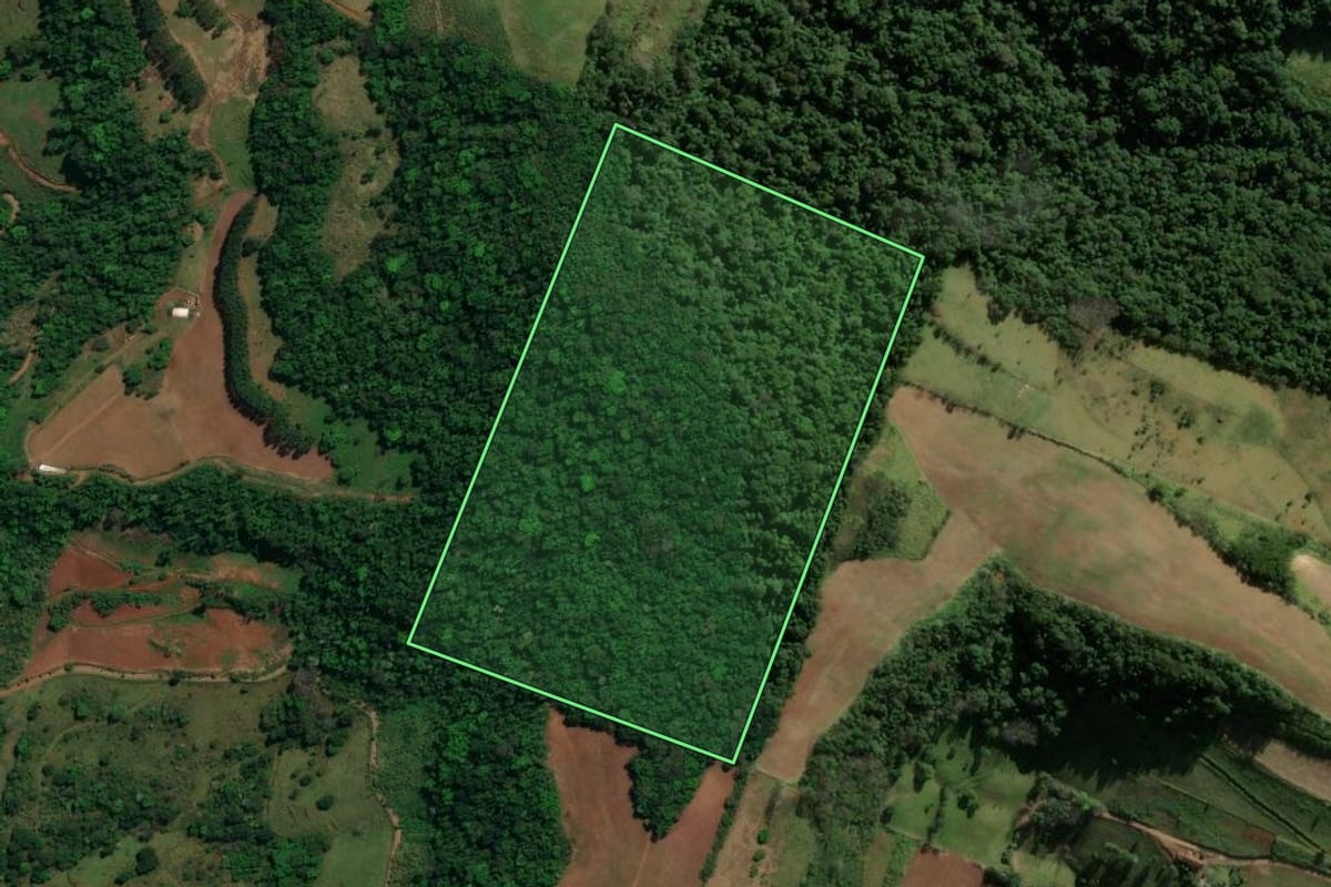Imagem de satélite do imóvel rural em Romelândia (SC), com o contorno declarado no CAR desenhado por cima.