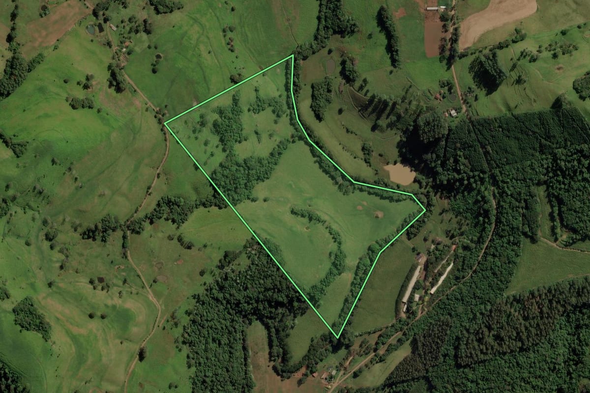 Imagem de satélite do imóvel rural em Romelândia (SC), com o contorno declarado no CAR desenhado por cima.