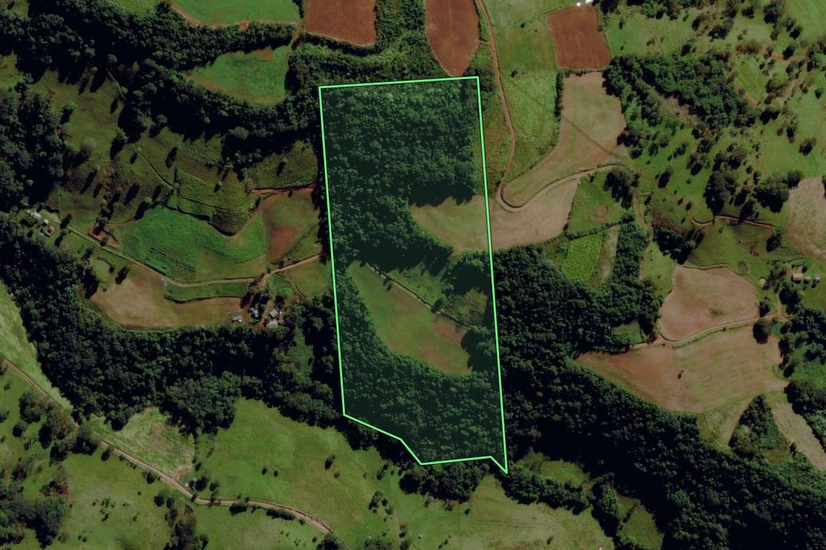 Imagem de satélite do imóvel rural em Romelândia (SC), com o contorno declarado no CAR desenhado por cima.