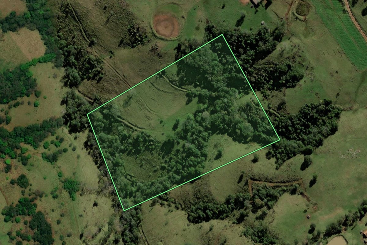 Imagem de satélite do imóvel rural em Romelândia (SC), com o contorno declarado no CAR desenhado por cima.