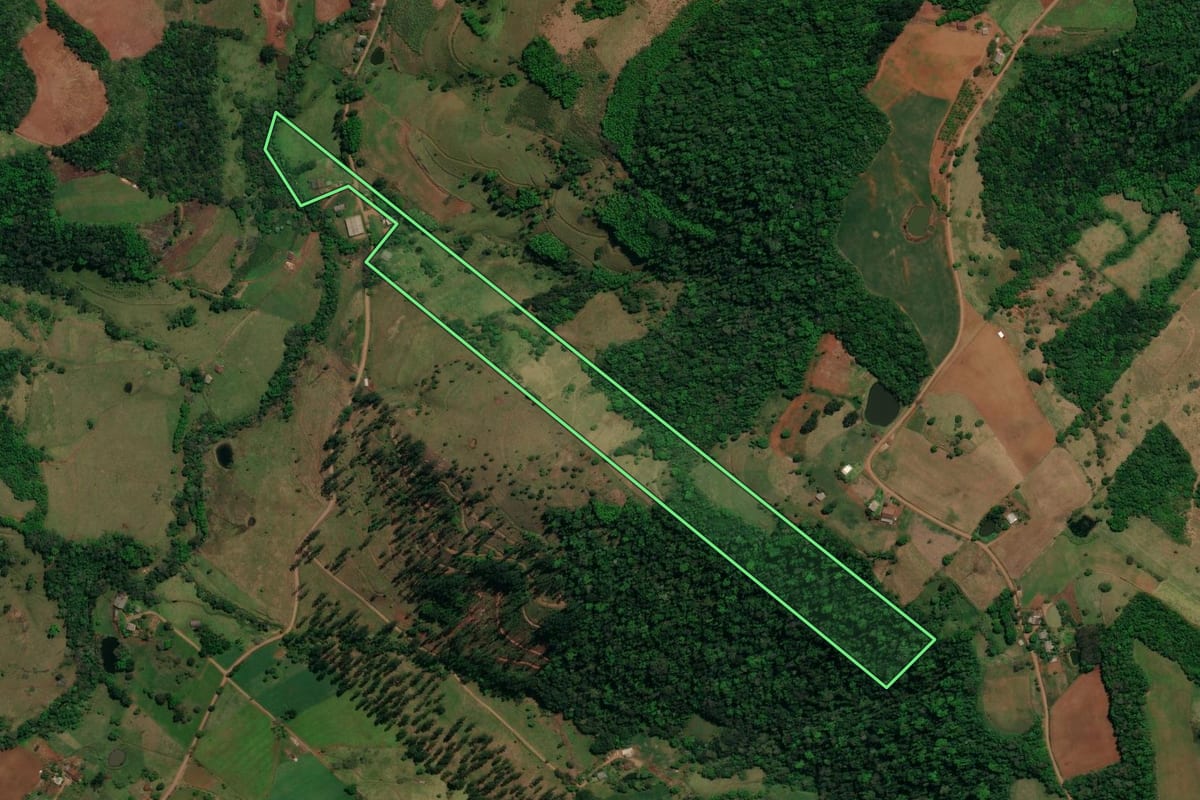 Imagem de satélite do imóvel rural em Romelândia (SC), com o contorno declarado no CAR desenhado por cima.