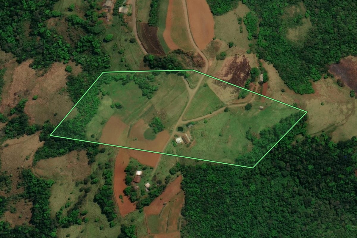 Imagem de satélite do imóvel rural em Romelândia (SC), com o contorno declarado no CAR desenhado por cima.