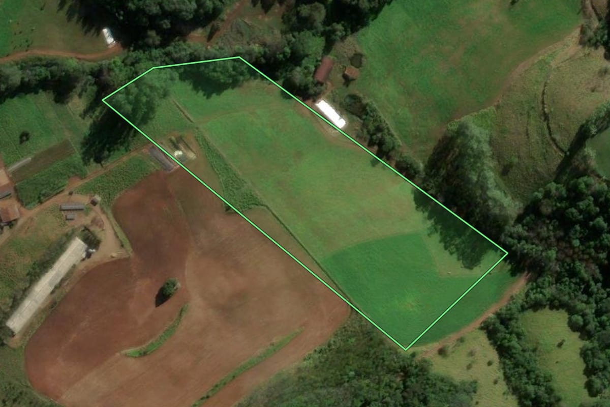 Imagem de satélite do imóvel rural em Romelândia (SC), com o contorno declarado no CAR desenhado por cima.