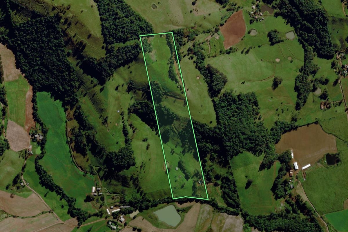 Imagem de satélite do imóvel rural em Romelândia (SC), com o contorno declarado no CAR desenhado por cima.
