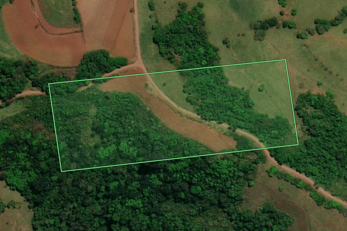 Imagem de satélite do imóvel rural em Romelândia (SC), com o contorno declarado no CAR desenhado por cima.