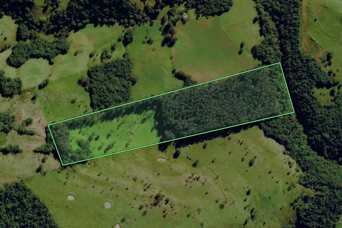 Imagem de satélite do imóvel rural em Romelândia (SC), com o contorno declarado no CAR desenhado por cima.
