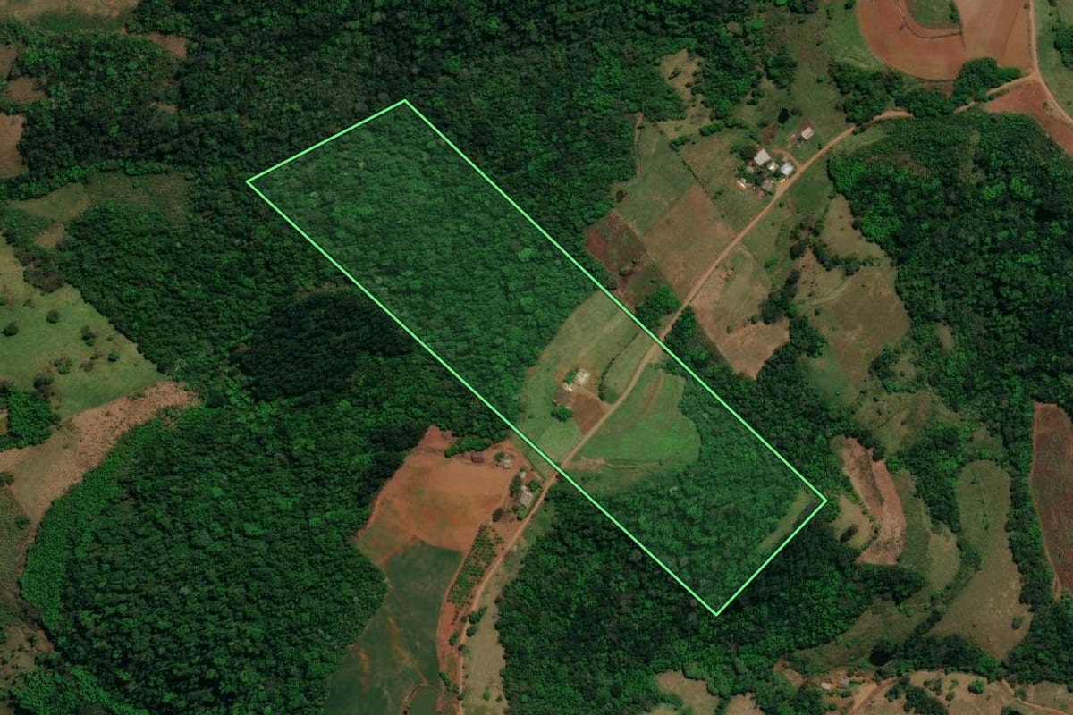 Imagem de satélite do imóvel rural em Romelândia (SC), com o contorno declarado no CAR desenhado por cima.
