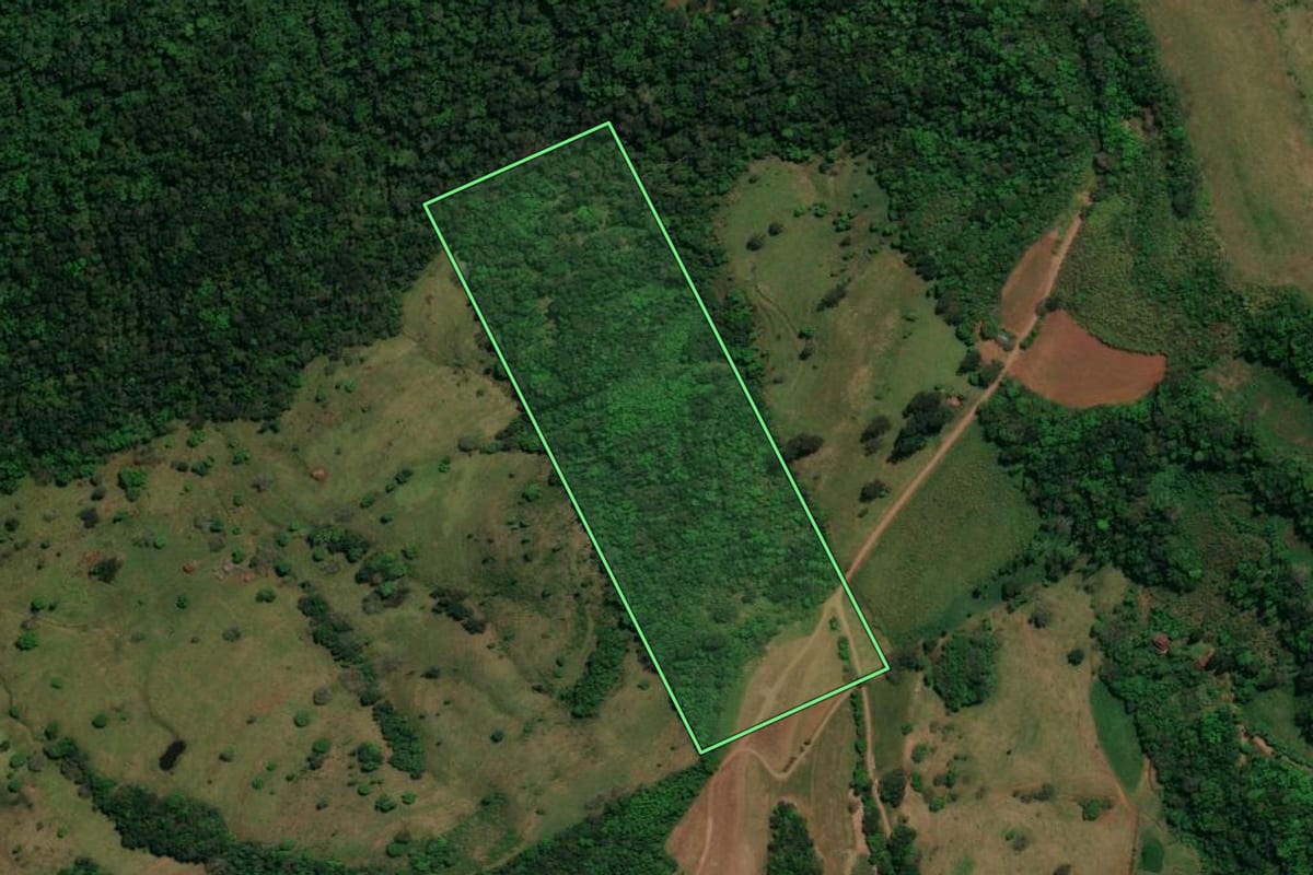 Imagem de satélite do imóvel rural em Romelândia (SC), com o contorno declarado no CAR desenhado por cima.