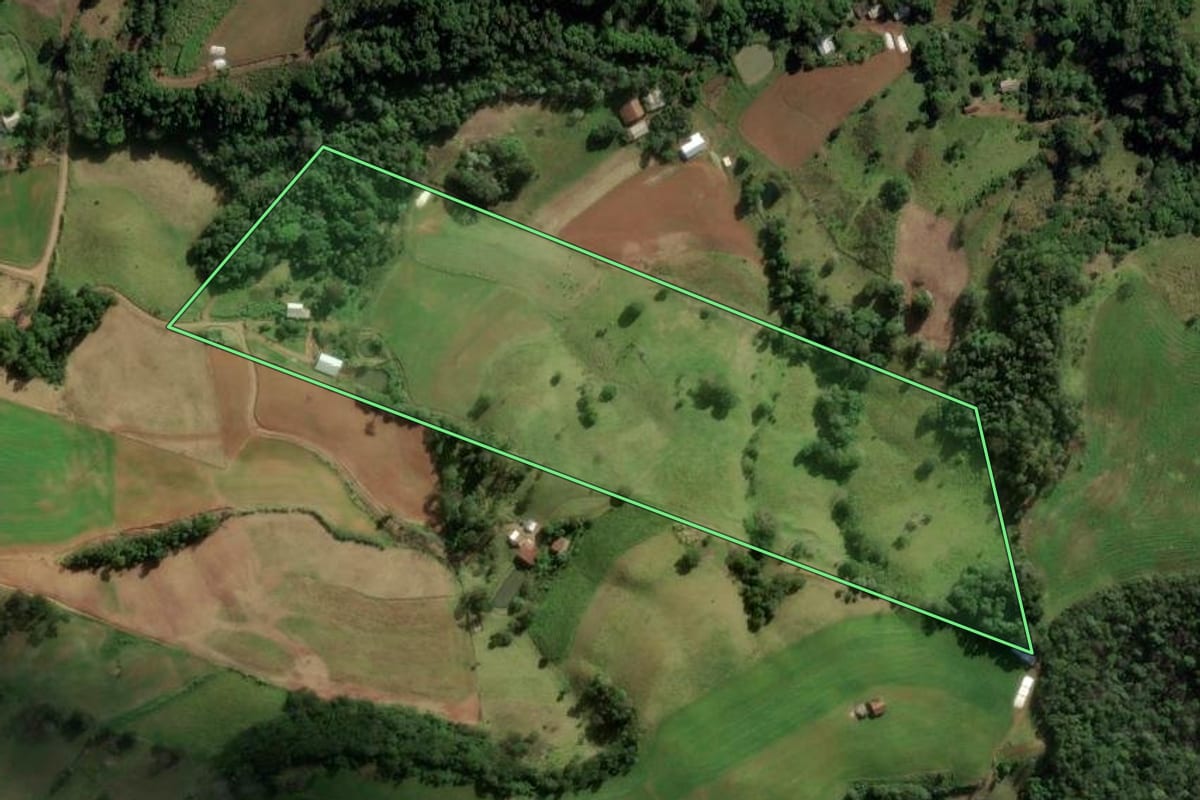 Imagem de satélite do imóvel rural em Romelândia (SC), com o contorno declarado no CAR desenhado por cima.