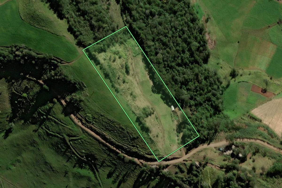 Imagem de satélite do imóvel rural em Romelândia (SC), com o contorno declarado no CAR desenhado por cima.