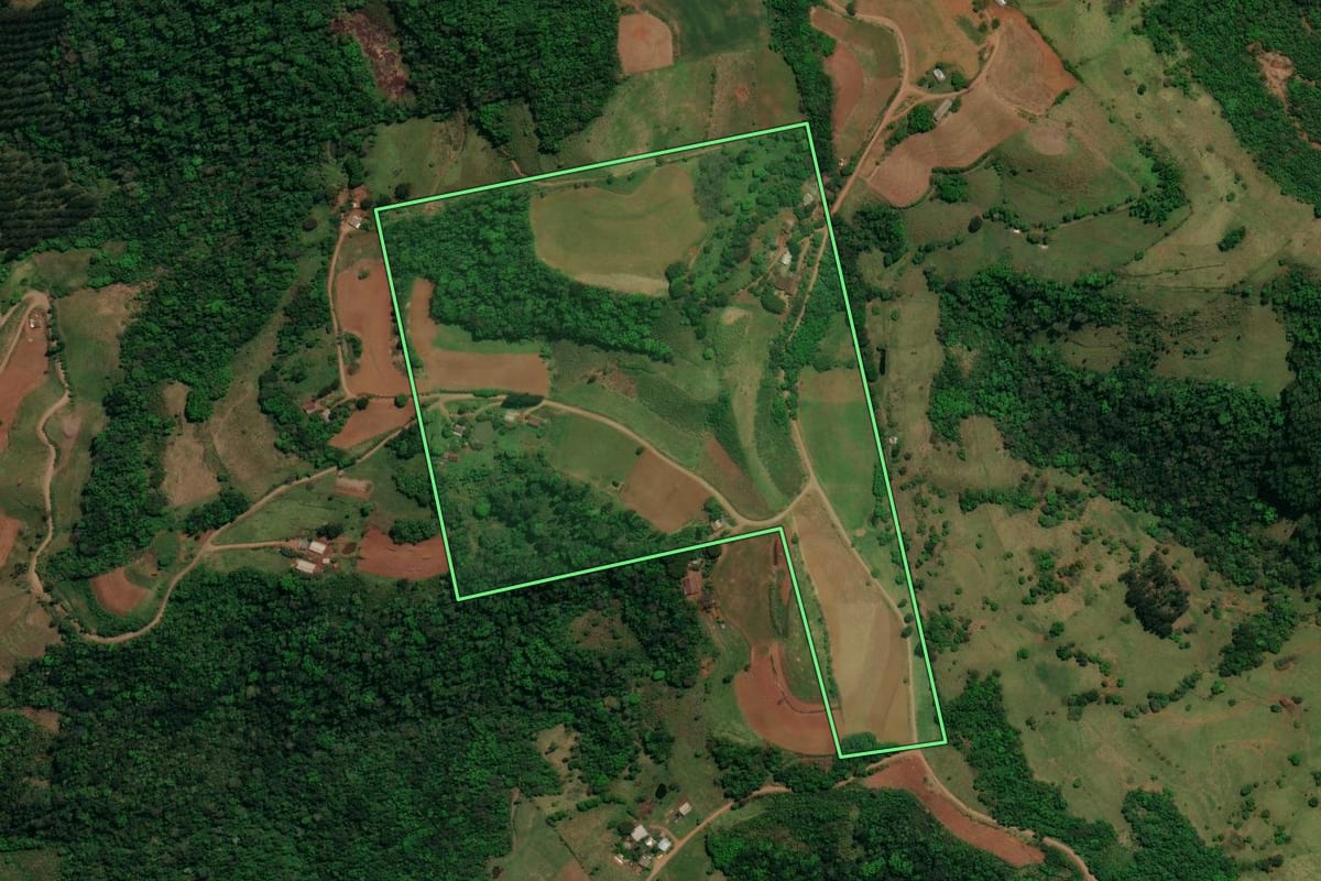 Imagem de satélite do imóvel rural em Romelândia (SC), com o contorno declarado no CAR desenhado por cima.