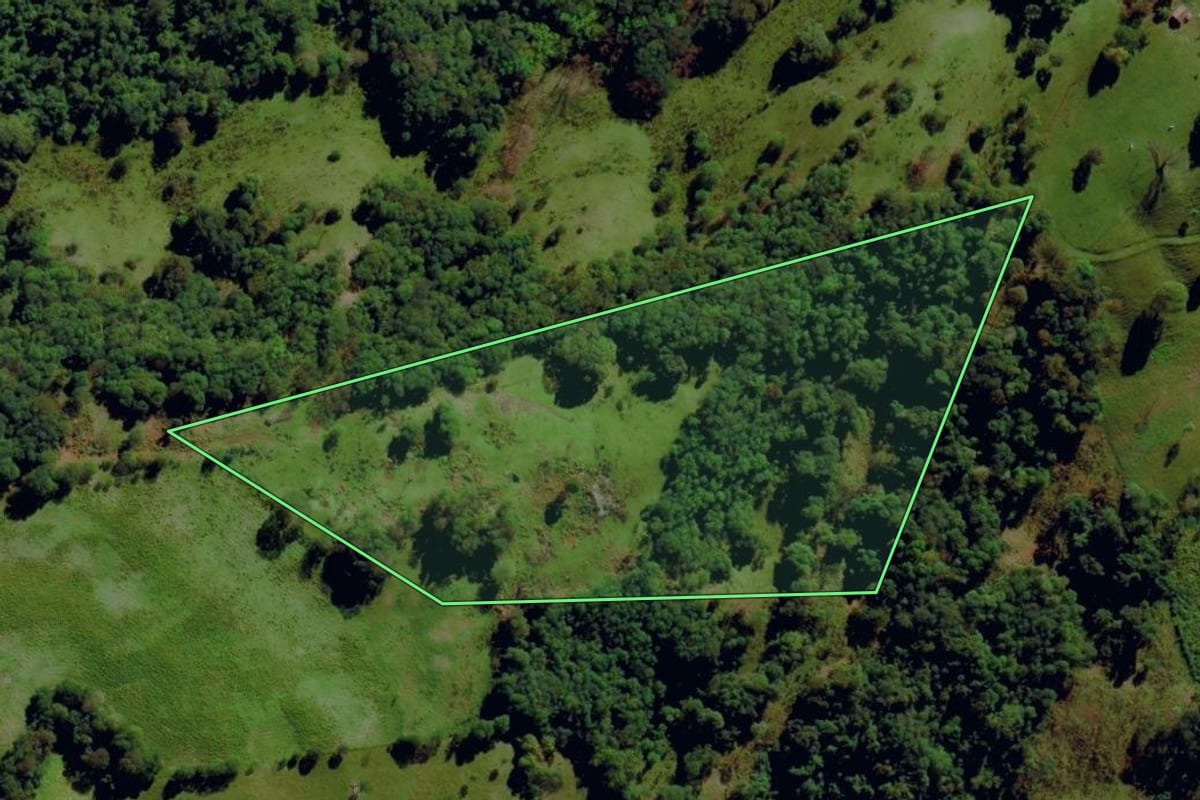 Imagem de satélite do imóvel rural em Romelândia (SC), com o contorno declarado no CAR desenhado por cima.