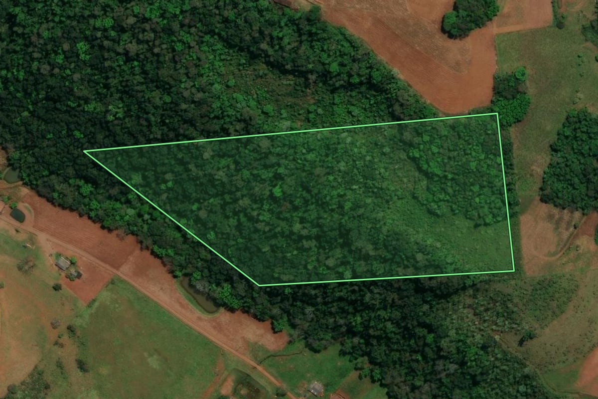 Imagem de satélite do imóvel rural em Romelândia (SC), com o contorno declarado no CAR desenhado por cima.