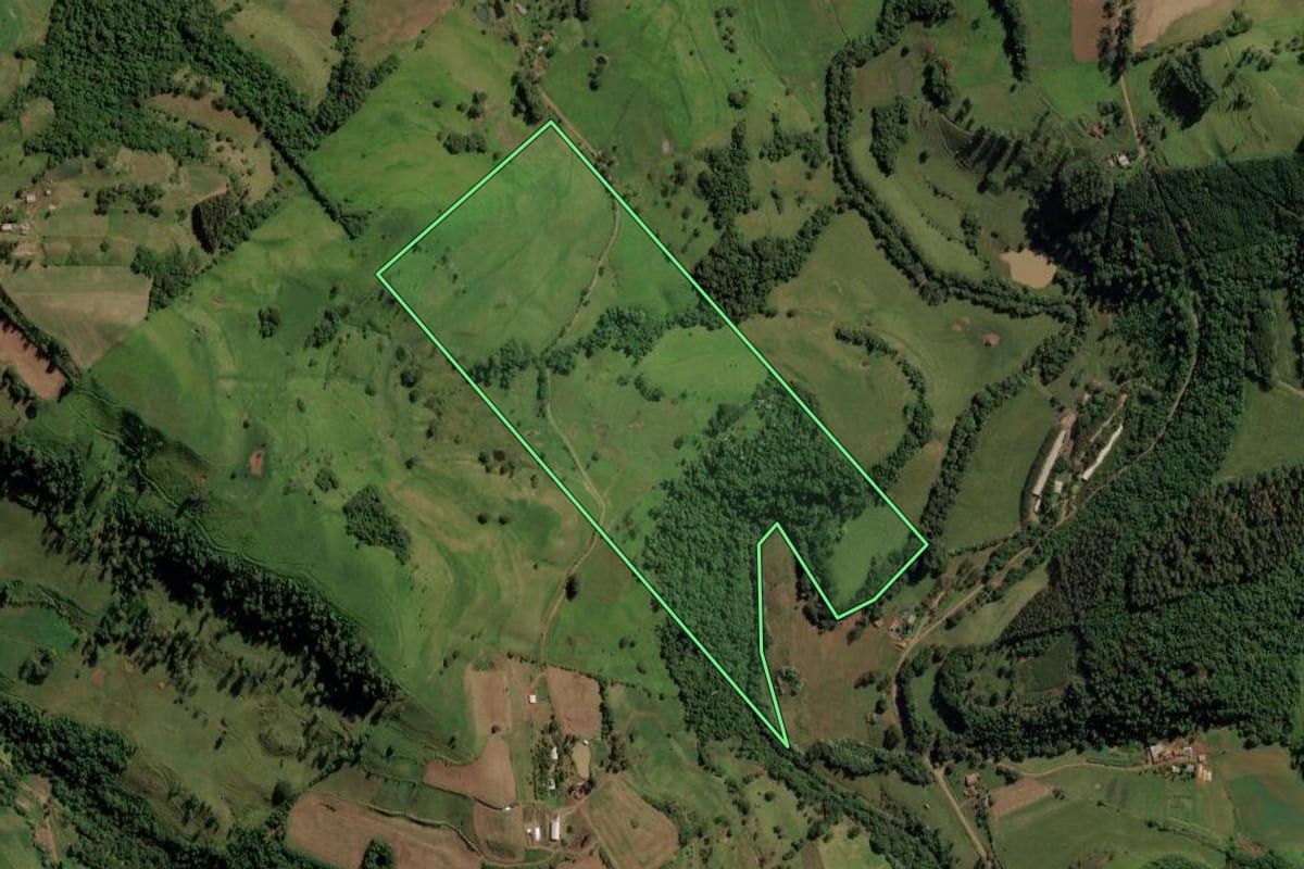 Imagem de satélite do imóvel rural em Romelândia (SC), com o contorno declarado no CAR desenhado por cima.