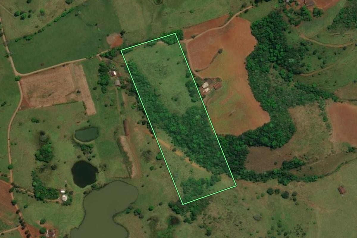 Imagem de satélite do imóvel rural em Romelândia (SC), com o contorno declarado no CAR desenhado por cima.