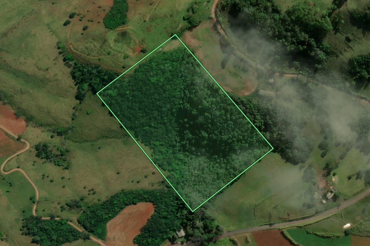 Imagem de satélite do imóvel rural em Romelândia (SC), com o contorno declarado no CAR desenhado por cima.