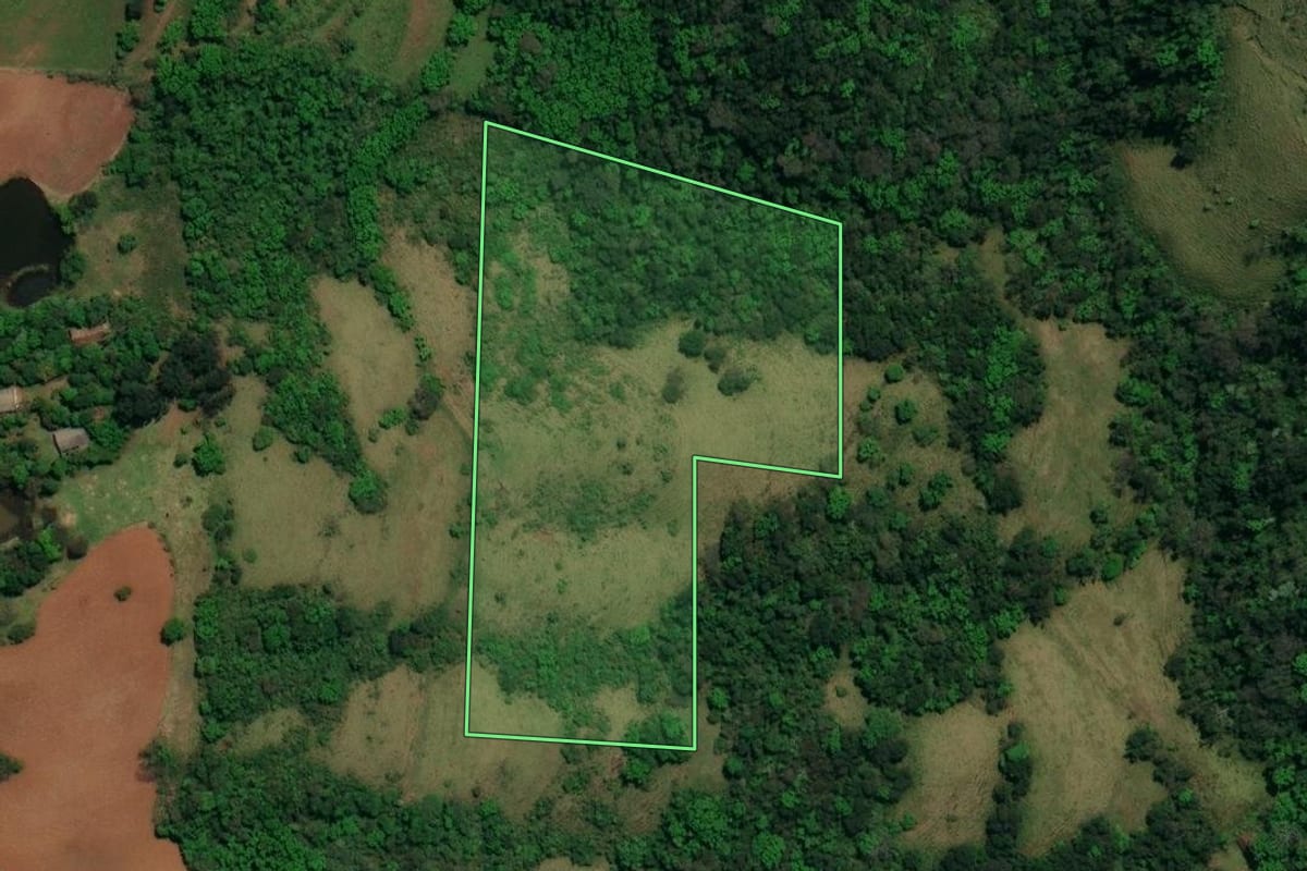 Imagem de satélite do imóvel rural em Romelândia (SC), com o contorno declarado no CAR desenhado por cima.