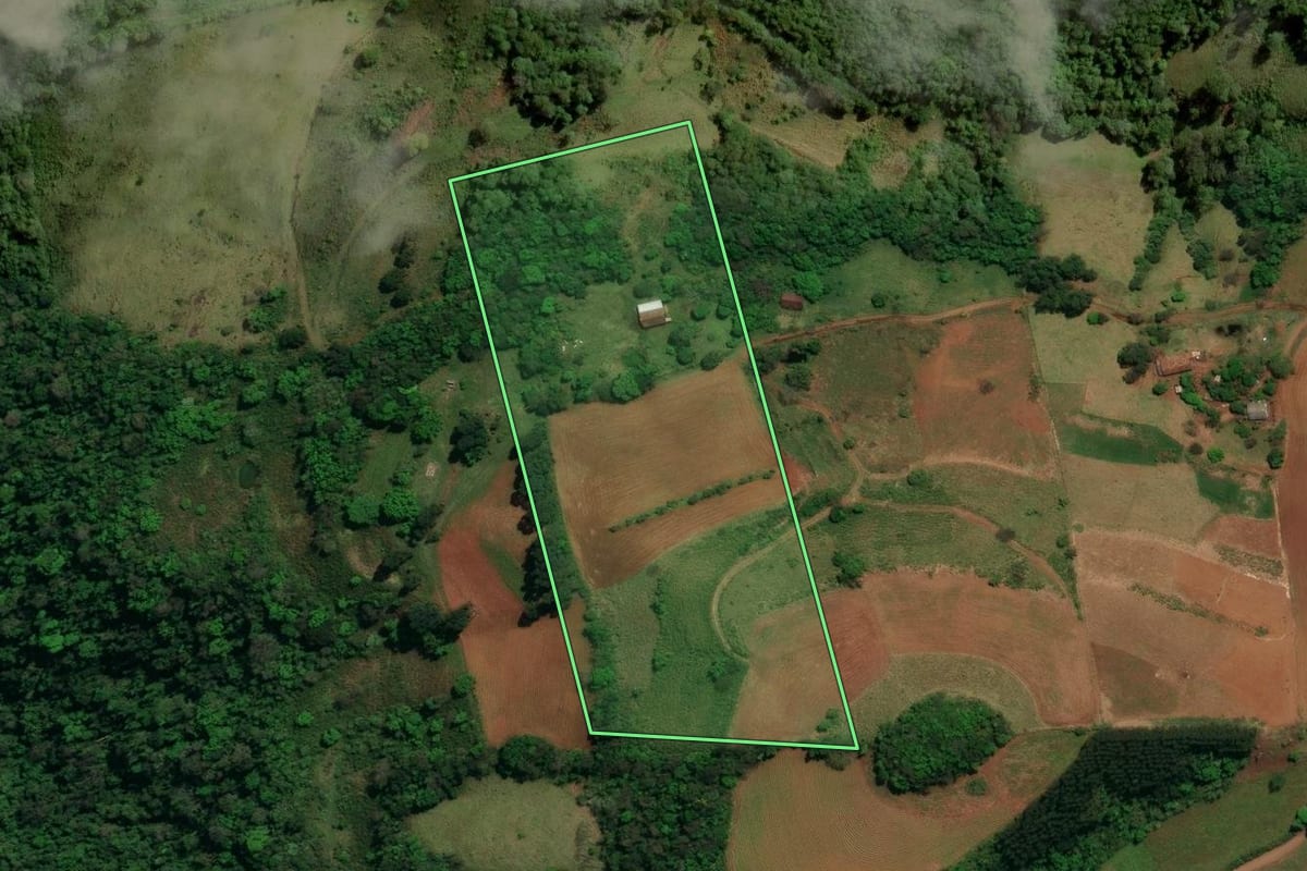 Imagem de satélite do imóvel rural em Romelândia (SC), com o contorno declarado no CAR desenhado por cima.