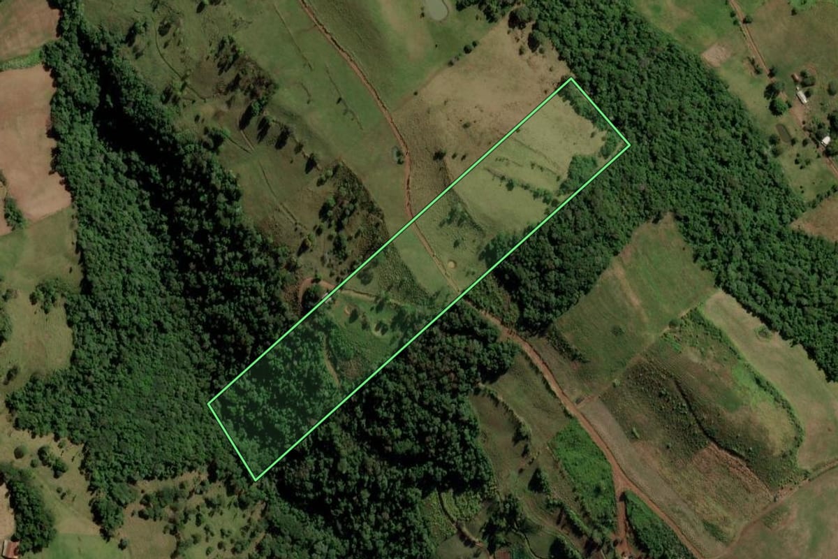 Imagem de satélite do imóvel rural em Romelândia (SC), com o contorno declarado no CAR desenhado por cima.