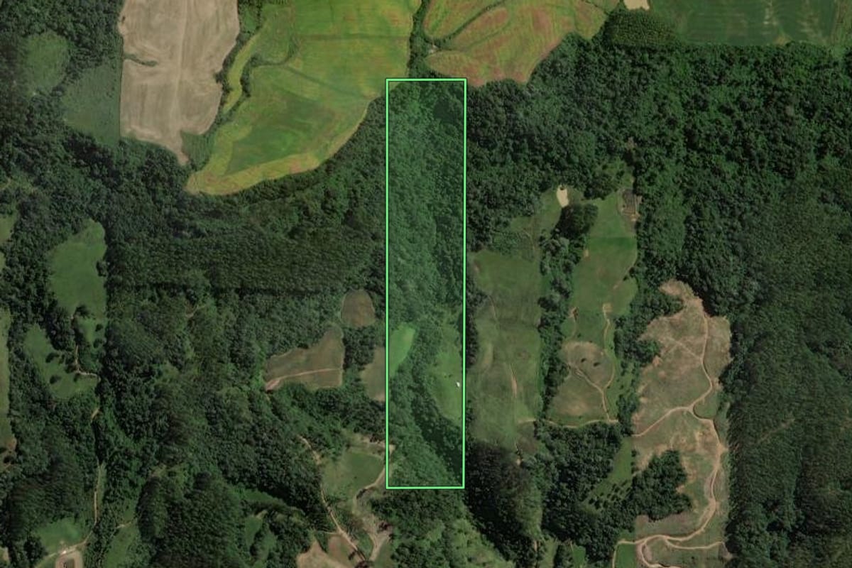 Imagem de satélite do imóvel rural em Salete (SC), com o contorno declarado no CAR desenhado por cima.