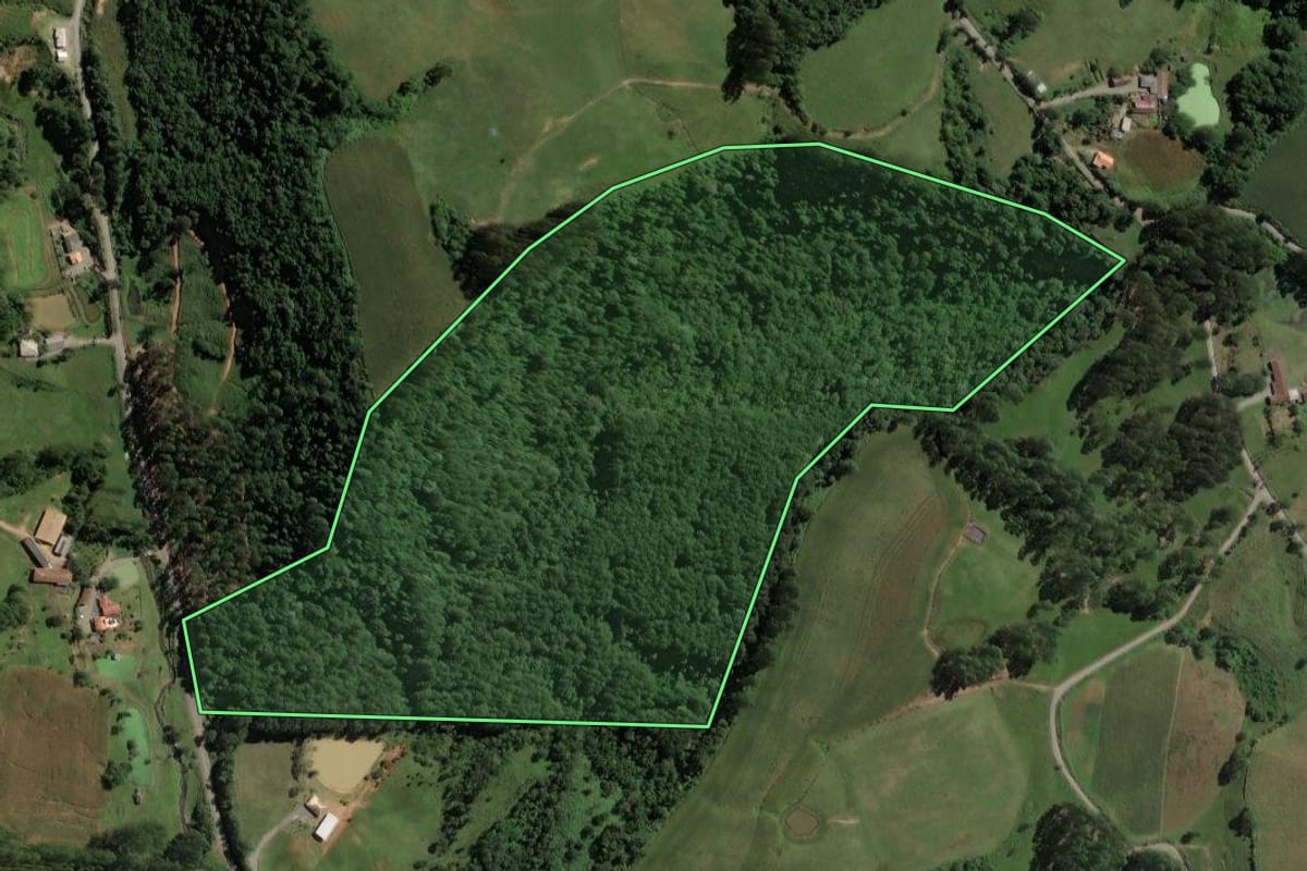 Imagem de satélite do imóvel rural em Salete (SC), com o contorno declarado no CAR desenhado por cima.