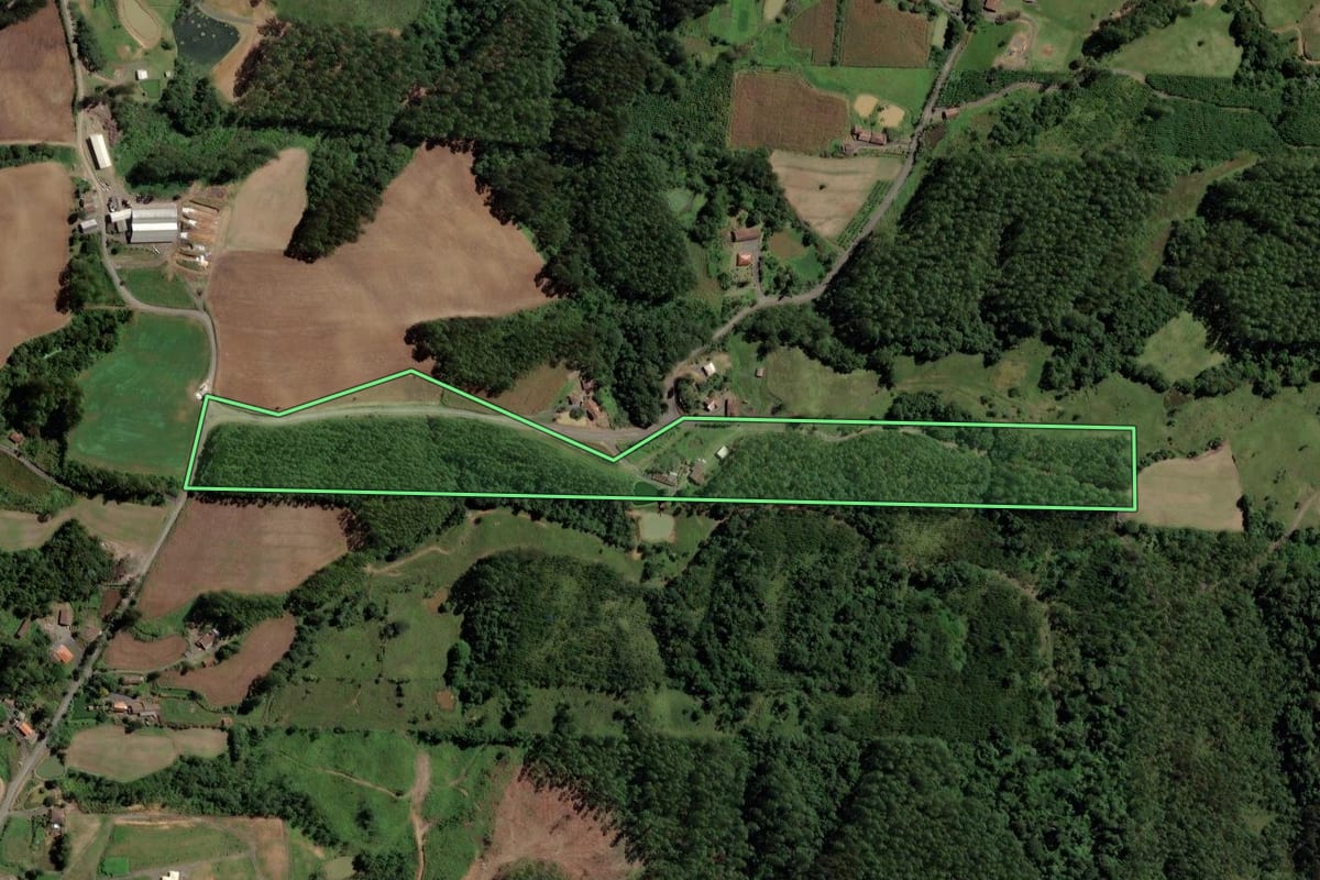 Imagem de satélite do imóvel rural em Salete (SC), com o contorno declarado no CAR desenhado por cima.
