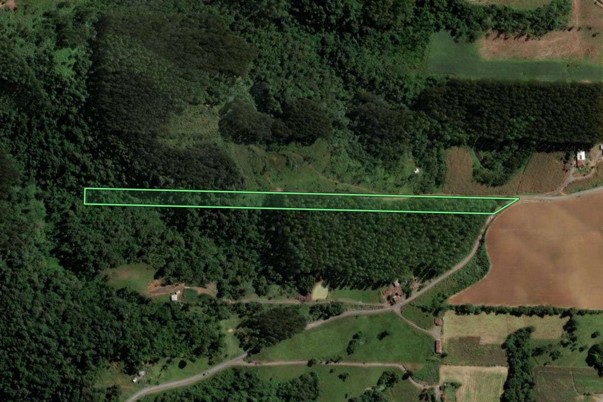 Imagem de satélite do imóvel rural em Salete (SC), com o contorno declarado no CAR desenhado por cima.