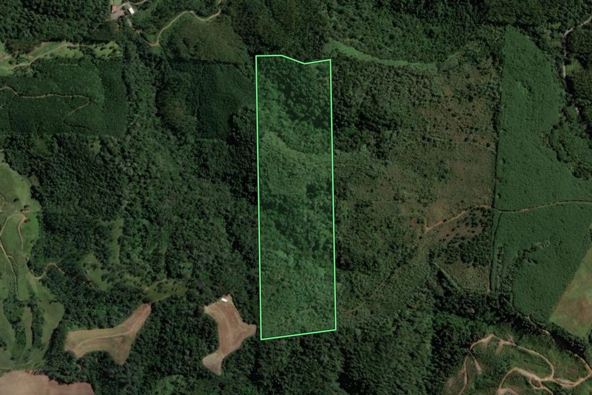 Imagem de satélite do imóvel rural em Salete (SC), com o contorno declarado no CAR desenhado por cima.