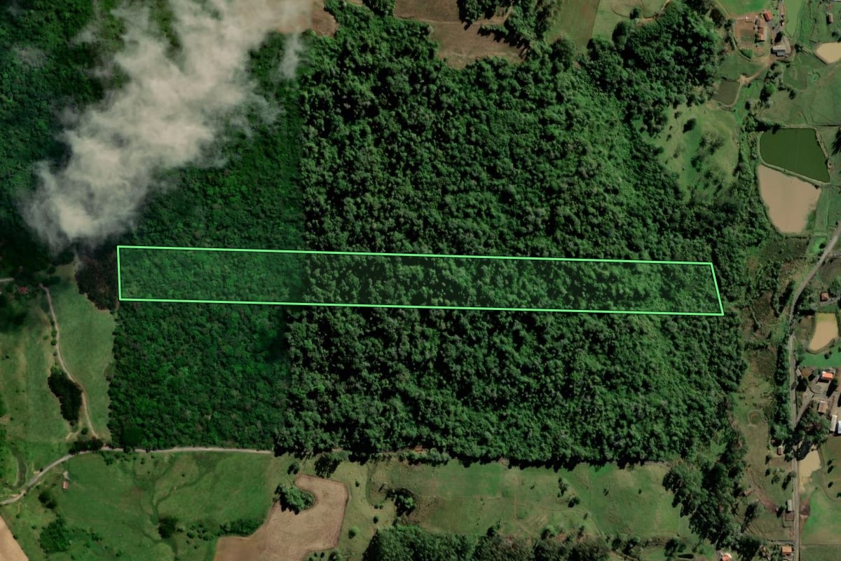 Imagem de satélite do imóvel rural em Salete (SC), com o contorno declarado no CAR desenhado por cima.