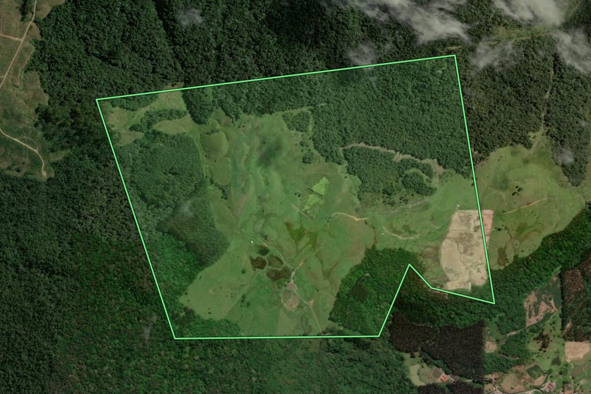 Imagem de satélite do imóvel rural em Salete (SC), com o contorno declarado no CAR desenhado por cima.