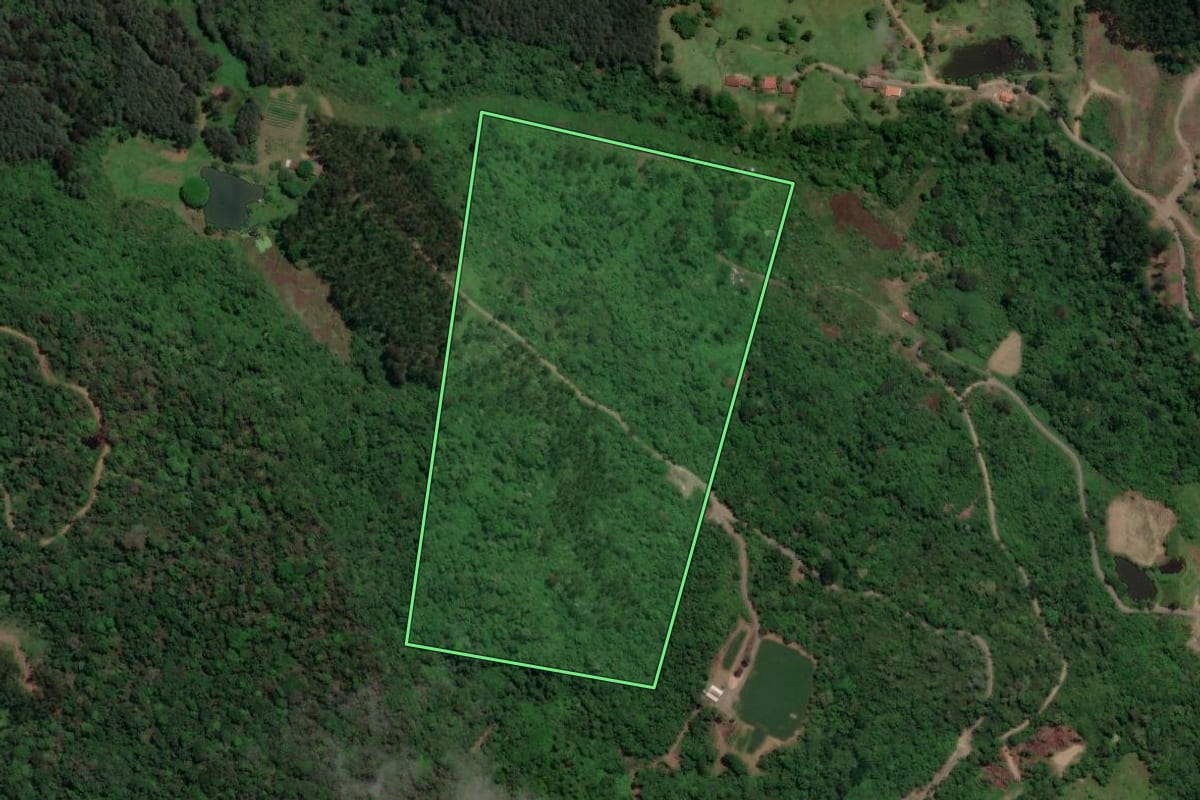 Imagem de satélite do imóvel rural em Salete (SC), com o contorno declarado no CAR desenhado por cima.