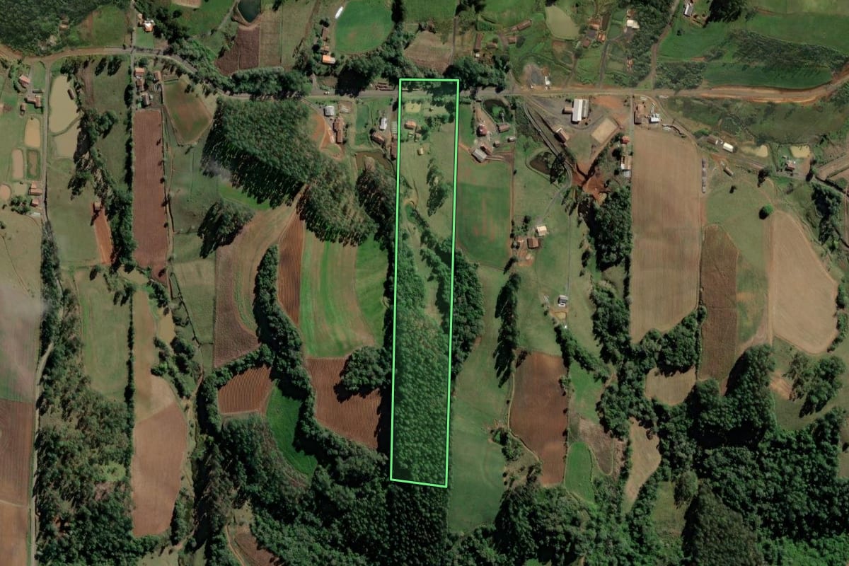 Imagem de satélite do imóvel rural em Salete (SC), com o contorno declarado no CAR desenhado por cima.