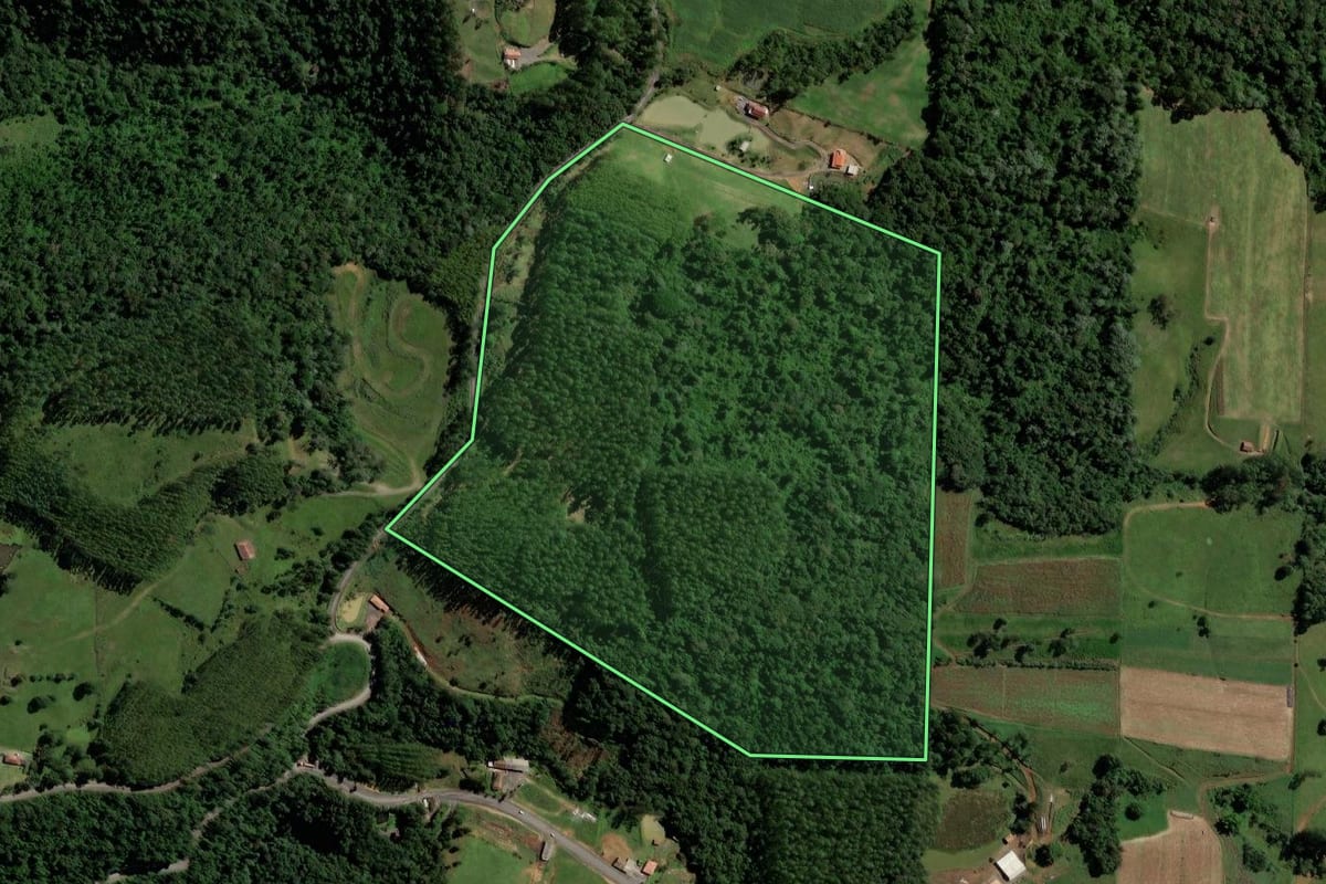 Imagem de satélite do imóvel rural em Salete (SC), com o contorno declarado no CAR desenhado por cima.