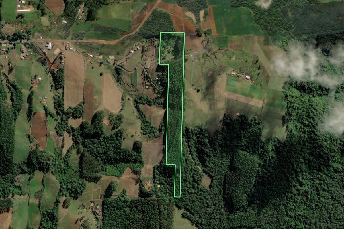 Imagem de satélite do imóvel rural em Salete (SC), com o contorno declarado no CAR desenhado por cima.
