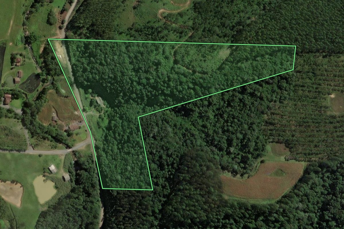 Imagem de satélite do imóvel rural em Salete (SC), com o contorno declarado no CAR desenhado por cima.