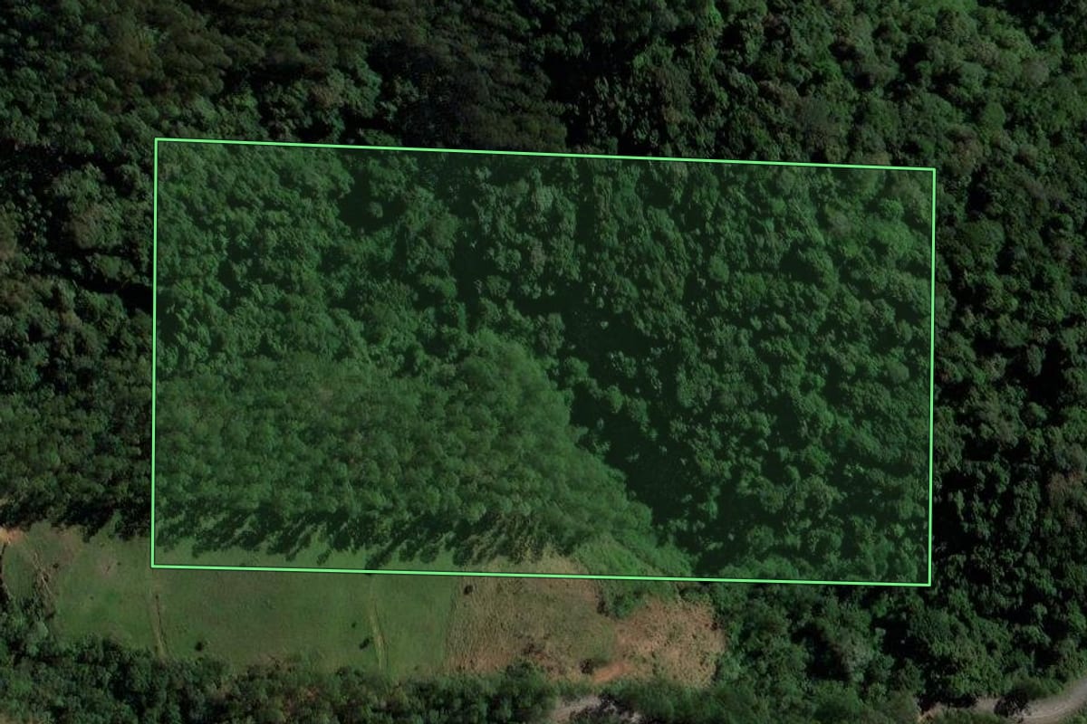 Imagem de satélite do imóvel rural em Salete (SC), com o contorno declarado no CAR desenhado por cima.