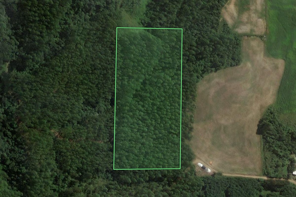 Imagem de satélite do imóvel rural em Salete (SC), com o contorno declarado no CAR desenhado por cima.
