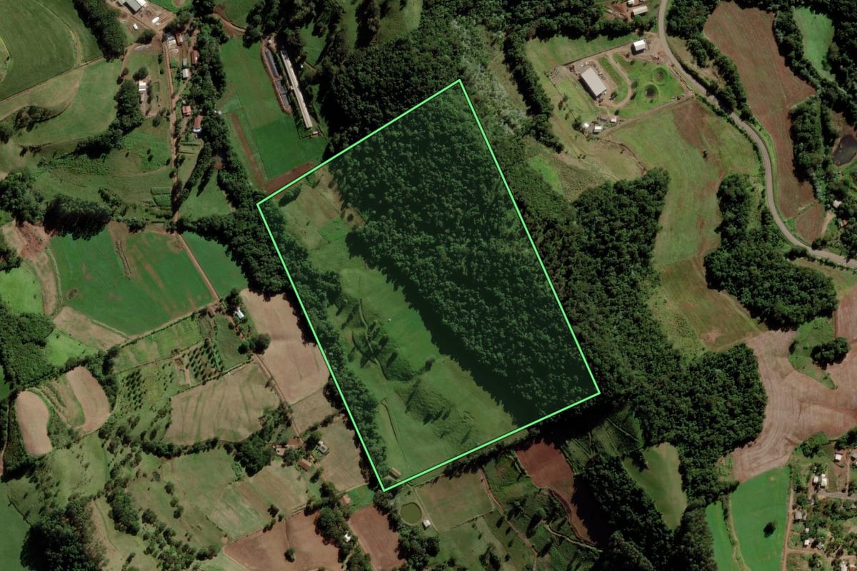 Imagem de satélite do imóvel rural em Saltinho (SC), com o contorno declarado no CAR desenhado por cima.