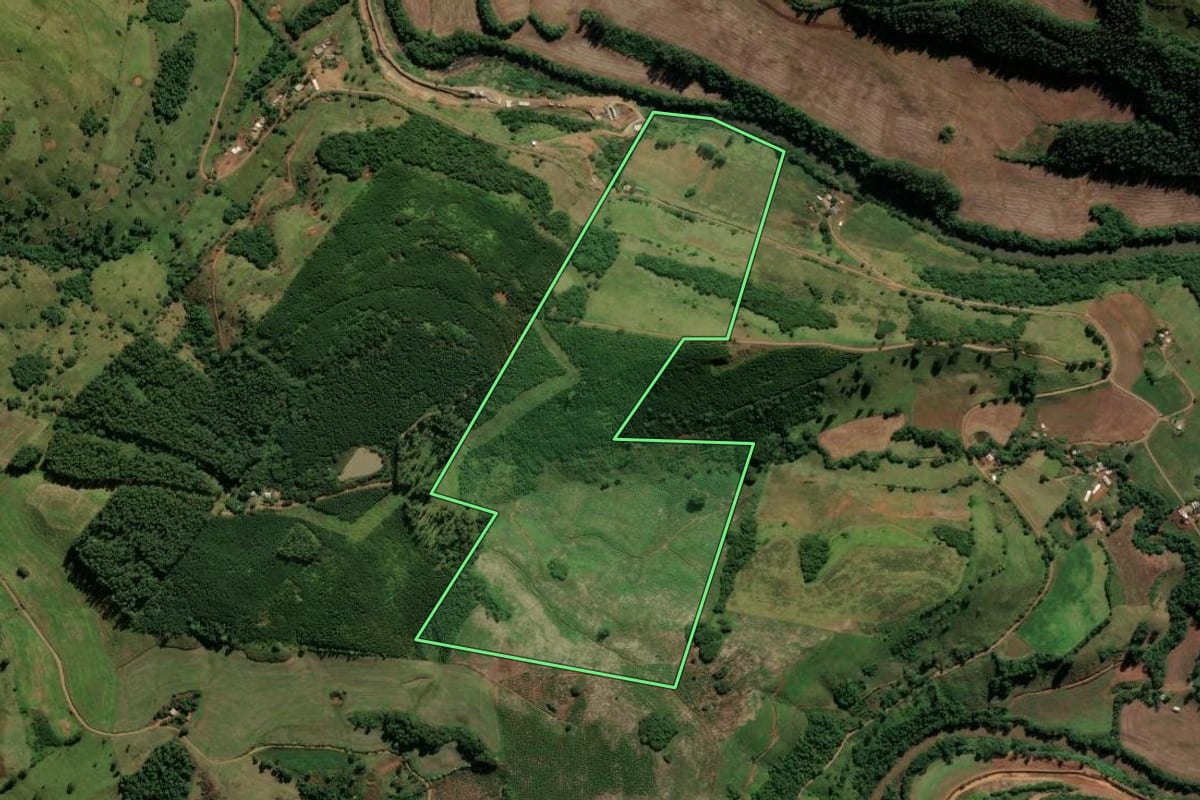 Imagem de satélite do imóvel rural em Saltinho (SC), com o contorno declarado no CAR desenhado por cima.