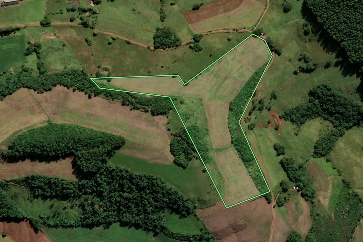 Imagem de satélite do imóvel rural em Saltinho (SC), com o contorno declarado no CAR desenhado por cima.