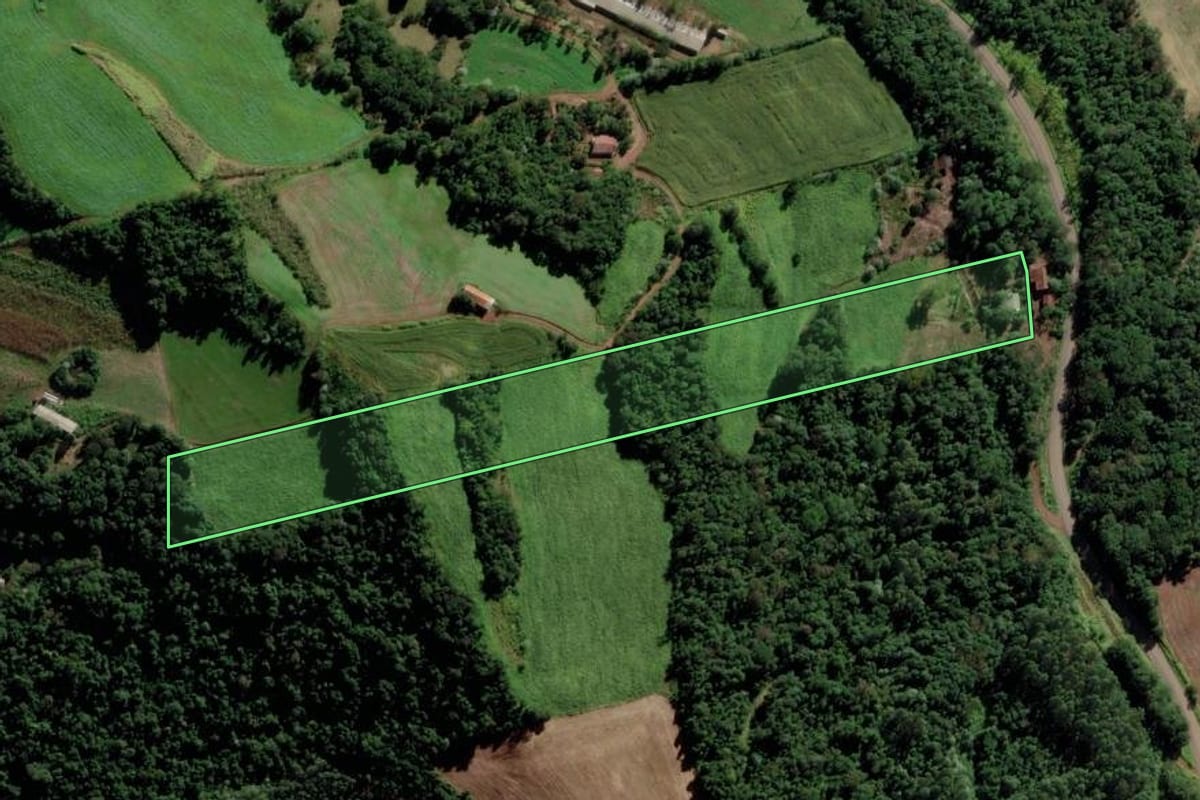 Imagem de satélite do imóvel rural em Saltinho (SC), com o contorno declarado no CAR desenhado por cima.