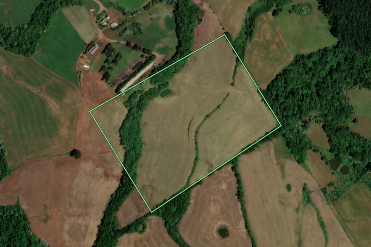 Imagem de satélite do imóvel rural em Saltinho (SC), com o contorno declarado no CAR desenhado por cima.
