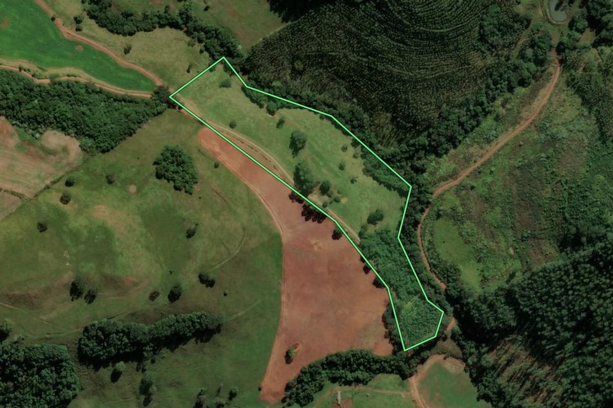 Imagem de satélite do imóvel rural em Saltinho (SC), com o contorno declarado no CAR desenhado por cima.